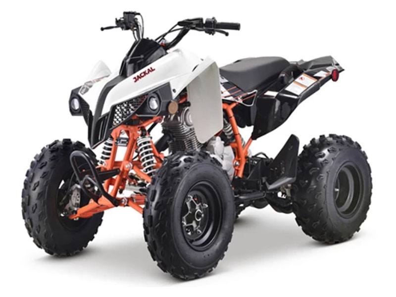 2023 Kayo Jackal 200 in Auburn, Massachusetts - Photo 8