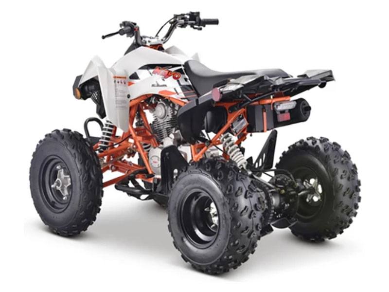 2023 Kayo Jackal 200 in Auburn, Massachusetts - Photo 10