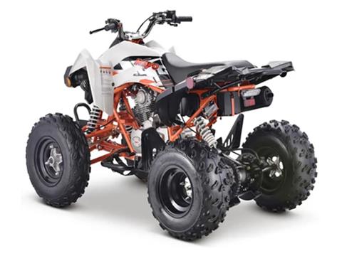 2023 Kayo Jackal 200 in Auburn, Massachusetts - Photo 10