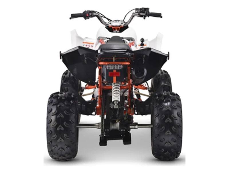 2023 Kayo Jackal 200 in Auburn, Massachusetts - Photo 12