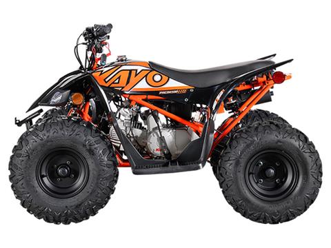 2024 Kayo Predator 110 in North Bend, Oregon - Photo 2