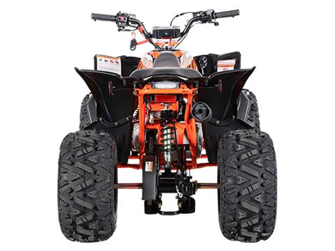 2024 Kayo Predator 110 in North Bend, Oregon - Photo 8
