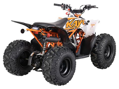 2024 Kayo Predator 110 in North Mankato, Minnesota - Photo 6
