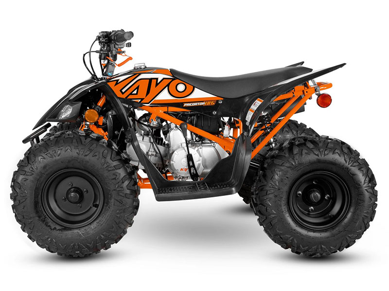 2024 Kayo Predator 125 in North Bend, Oregon - Photo 2