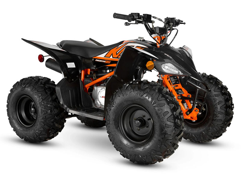 2024 Kayo Predator 125 in North Bend, Oregon - Photo 3