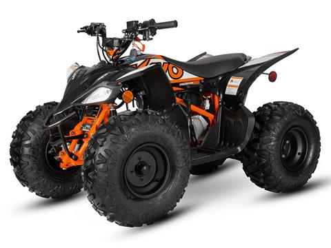 2024 Kayo Predator 125 in North Bend, Oregon - Photo 4