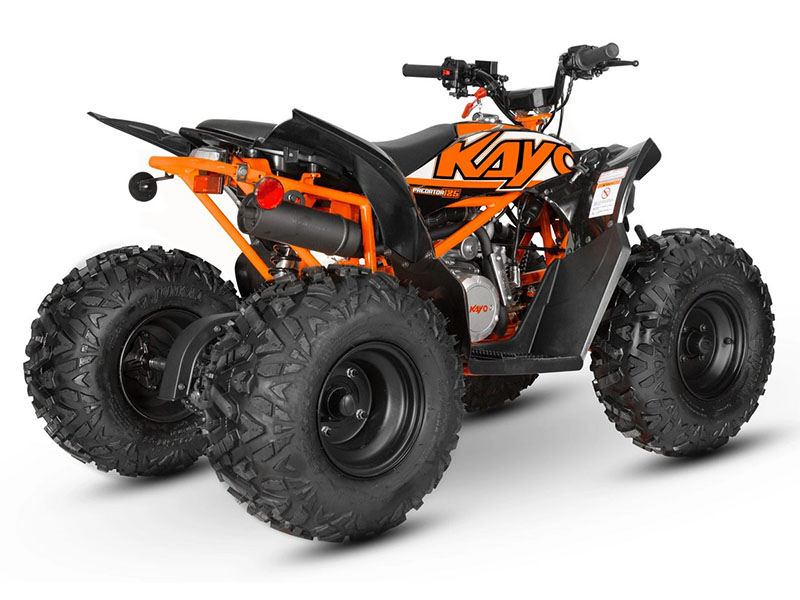 2024 Kayo Predator 125 in North Bend, Oregon - Photo 6