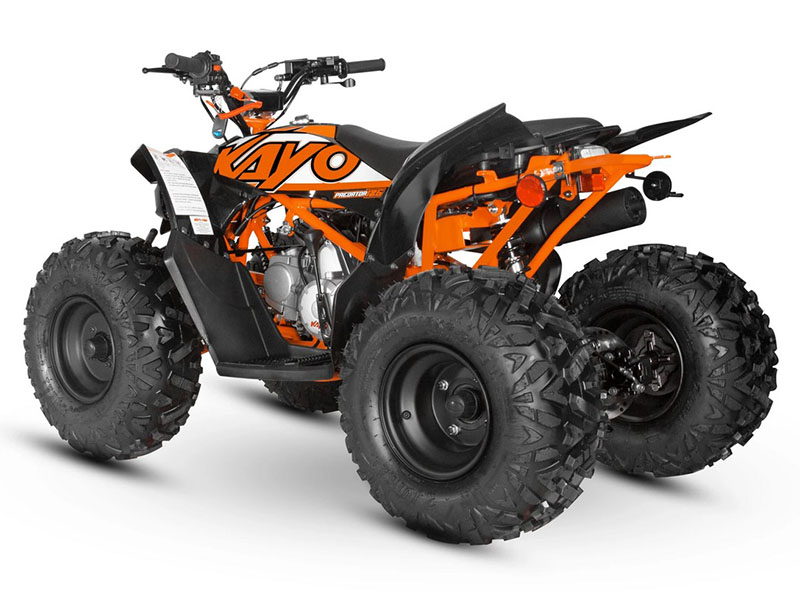 2024 Kayo Predator 125 in North Bend, Oregon - Photo 7