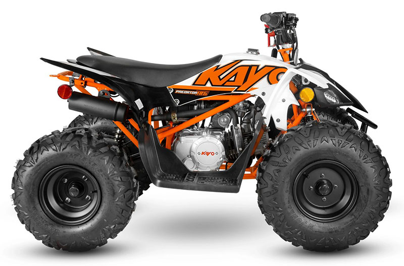 2024 Kayo Predator 125 in North Bend, Oregon - Photo 1