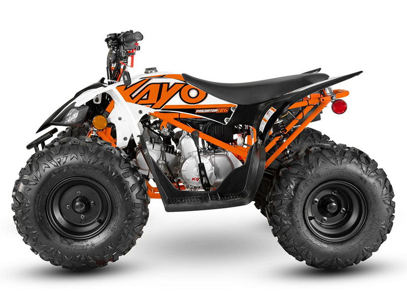 2024 Kayo Predator 125 in North Bend, Oregon - Photo 2