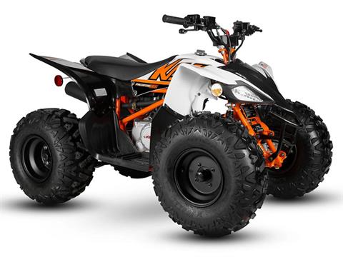 2024 Kayo Predator 125 in North Bend, Oregon - Photo 3