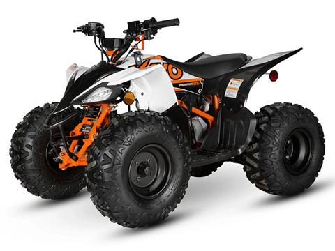 2024 Kayo Predator 125 in North Bend, Oregon - Photo 4