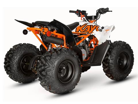 2024 Kayo Predator 125 in North Bend, Oregon - Photo 6