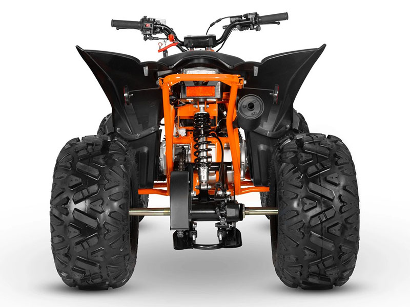 2024 Kayo Predator 125 in North Bend, Oregon - Photo 8