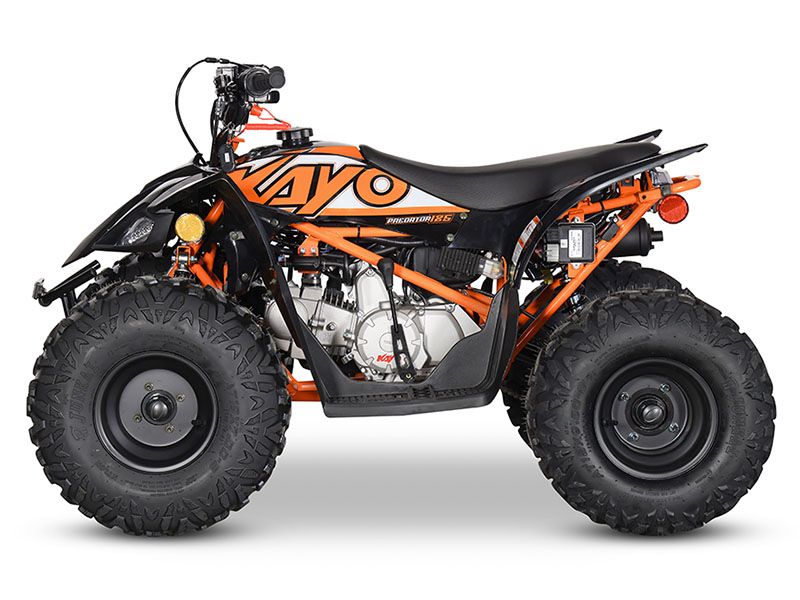 2024 Kayo Predator 125 EFI in North Bend, Oregon - Photo 2