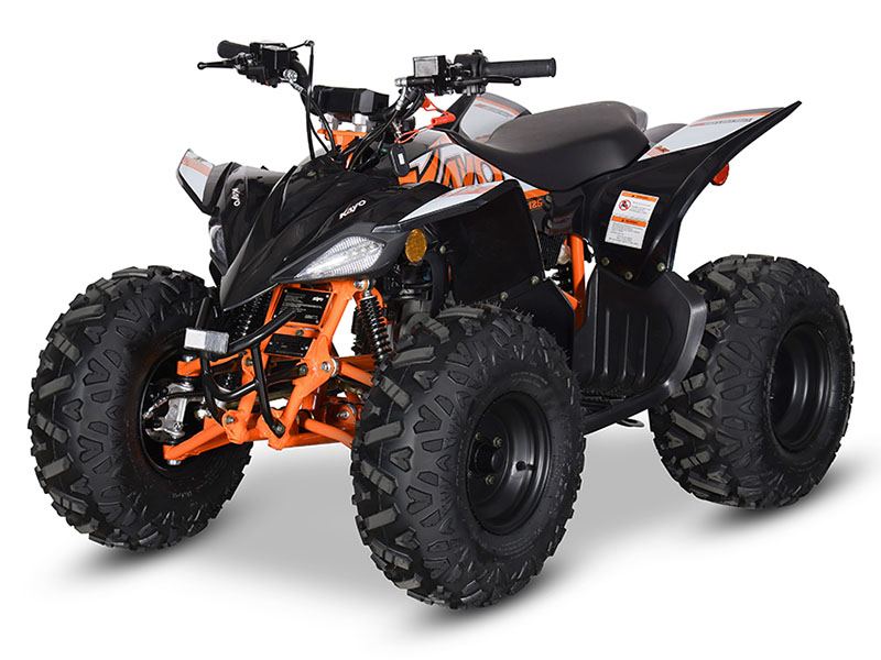 2024 Kayo Predator 125 EFI in North Bend, Oregon - Photo 4