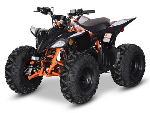 2024 Kayo Predator 125 EFI in North Bend, Oregon - Photo 4
