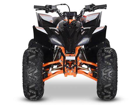 2024 Kayo Predator 125 EFI in North Bend, Oregon - Photo 5