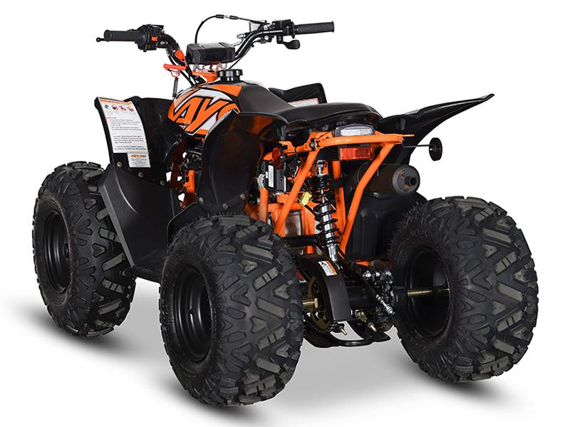 2024 Kayo Predator 125 EFI in North Bend, Oregon - Photo 7
