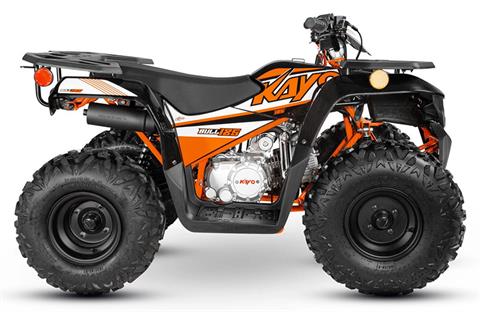 2024 Kayo Bull 125