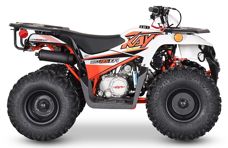 2024 Kayo Bull 125 EFI in North Bend, Oregon - Photo 1