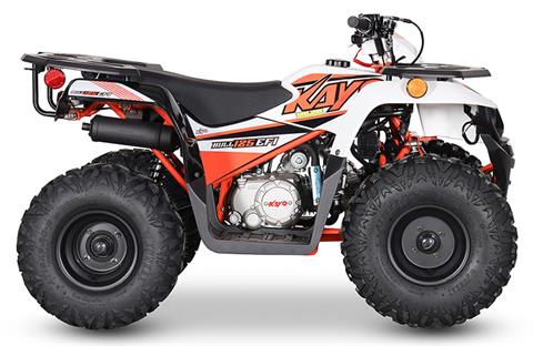 2024 Kayo Bull 125 EFI