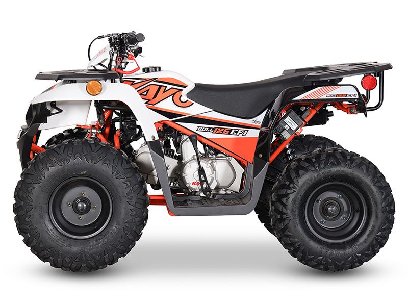 2024 Kayo Bull 125 EFI in North Bend, Oregon - Photo 2