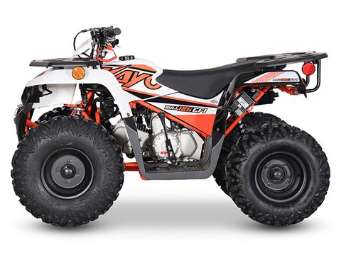 2024 Kayo Bull 125 EFI in North Bend, Oregon - Photo 2