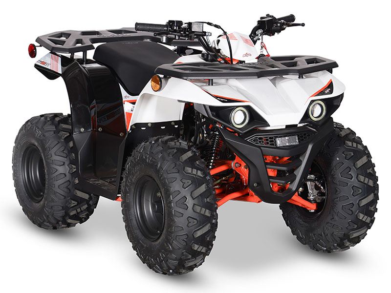 2024 Kayo Bull 125 EFI in North Bend, Oregon - Photo 3