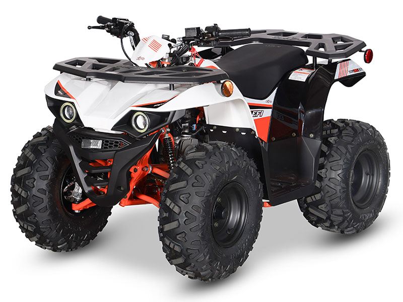 2024 Kayo Bull 125 EFI in North Bend, Oregon - Photo 4