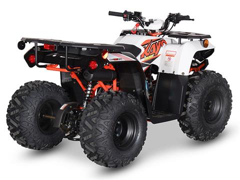 2024 Kayo Bull 125 EFI in North Bend, Oregon - Photo 6