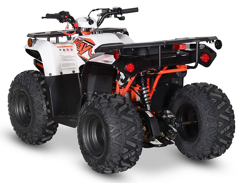 2024 Kayo Bull 125 EFI in North Bend, Oregon - Photo 7