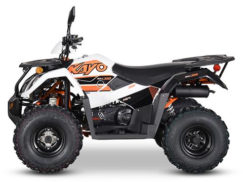 2024 Kayo Bull 300 EFI in North Bend, Oregon - Photo 2