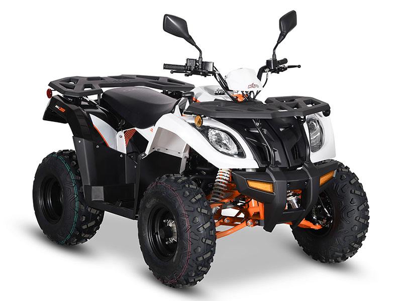 2024 Kayo Bull 300 EFI in North Bend, Oregon - Photo 3