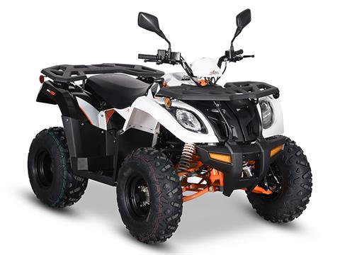 2024 Kayo Bull 300 EFI in North Bend, Oregon - Photo 3