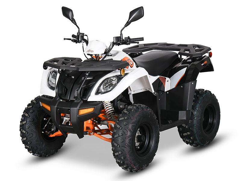 2024 Kayo Bull 300 EFI in North Bend, Oregon - Photo 4