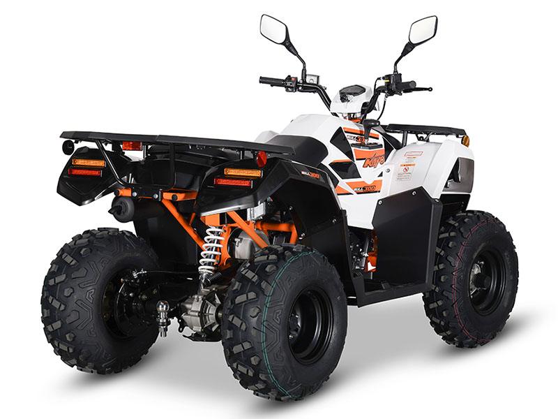 2024 Kayo Bull 300 EFI in North Bend, Oregon - Photo 6