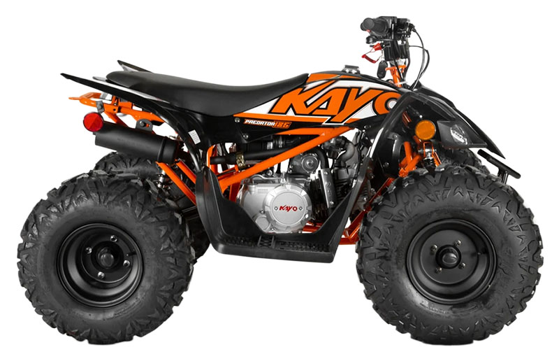 2025 Kayo Predator 125 in Columbia, Missouri - Photo 1