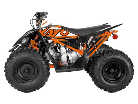 2025 Kayo Predator 125 in Columbia, Missouri - Photo 2