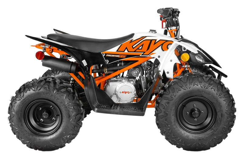 2025 Kayo Predator 125 in Columbia, Missouri - Photo 1
