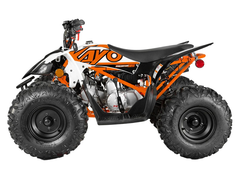 2025 Kayo Predator 125 in Columbia, Missouri - Photo 2