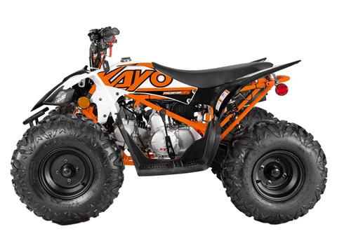 2025 Kayo Predator 125 in Columbia, Missouri - Photo 2