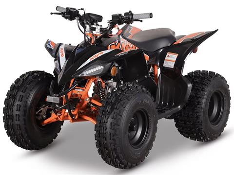 2025 Kayo Predator 125 EFI in Port Washington, Wisconsin - Photo 4