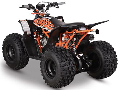 2025 Kayo Predator 125 EFI in Port Washington, Wisconsin - Photo 7