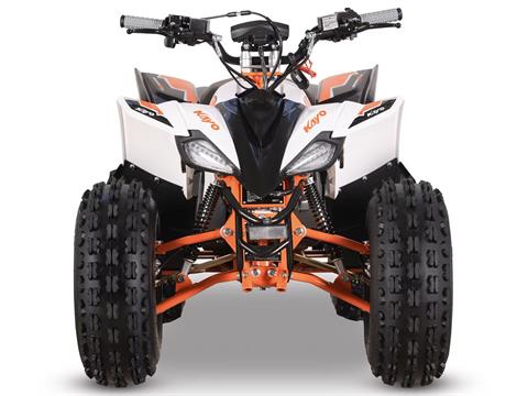 2025 Kayo Predator 125 EFI in Port Washington, Wisconsin - Photo 5