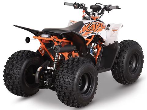 2025 Kayo Predator 125 EFI in Port Washington, Wisconsin - Photo 6