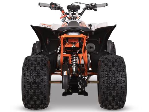 2025 Kayo Predator 125 EFI in Port Washington, Wisconsin - Photo 8