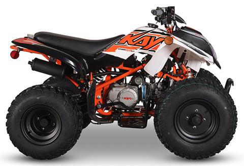 2025 Kayo Storm 150 EFI in North Bend, Oregon