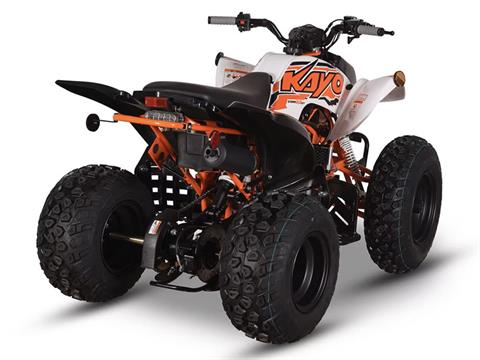 2025 Kayo Storm 150 EFI in Port Washington, Wisconsin - Photo 6