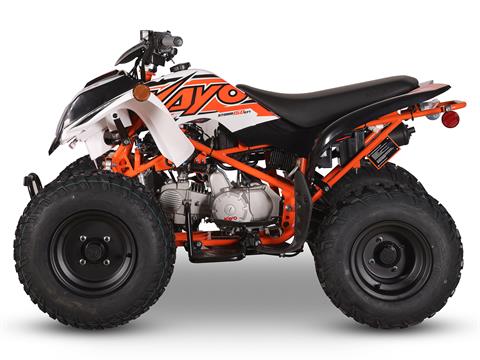 2025 Kayo Storm 150 EFI in North Bend, Oregon - Photo 2